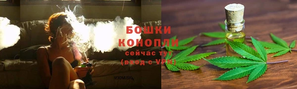 дмт Нефтекумск