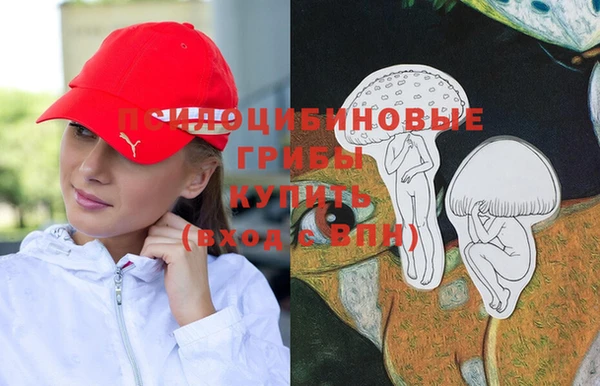 дмт Нефтекумск