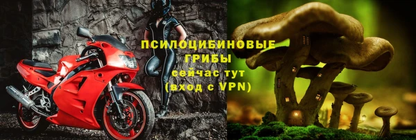 дмт Нефтекумск
