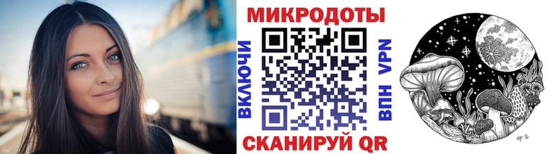 где купить наркотик  Щигры  Галлюциногенные грибы Psilocybine cubensis 